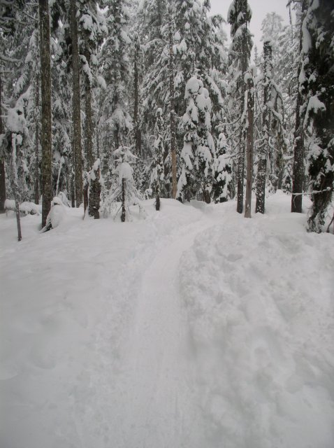 Frog Lake Snowshoe Jan 21 2005 030 